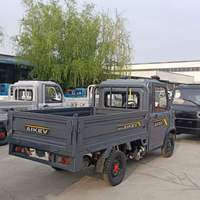 Mini véhicule électrique pour adultes, petite voiture, camionnette, camionnette électrique à énergie nouvelle, véhicule de mobilité à quatre roues