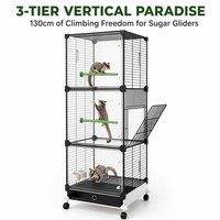 Cages transparentes en acier inoxydable pour petits animaux, avec vue frontale cristalline et transparence HD, pour Petaurs, Écureuils, Rats de compagnie et Roues