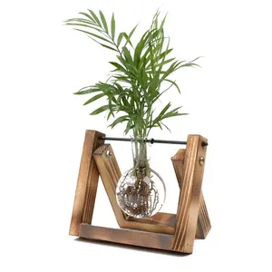 Hydroponic Plant Vases with Wooden Stand, Desktop Clear Glass Bulb Shape Vase Terrarium planter Holder for Wedding Decoration