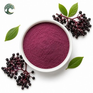 Poudre d'extrait de <span class=keywords><strong>sureau</strong></span> biologique premium en vrac, soluble dans l'eau, pure et naturelle, poudre de fruits de Sambucus Nigra de qualité alimentaire, vente en gros - Product Image 1