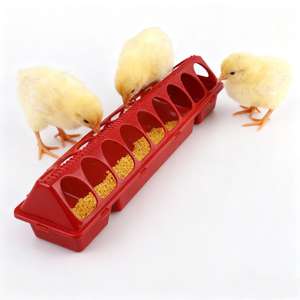 Mangeoire pour volaille Offre Spéciale 16/28 trous-Mangeoire en plastique pour poussin <span class=keywords><strong>Pigeon</strong></span> caille - Product Image 1