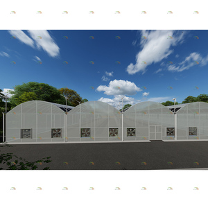 <span class=keywords><strong>Serre</strong></span> photovoltaïque à économie d'énergie pour la culture de légumes et de fleurs agricoles bon marché - Product Image 6