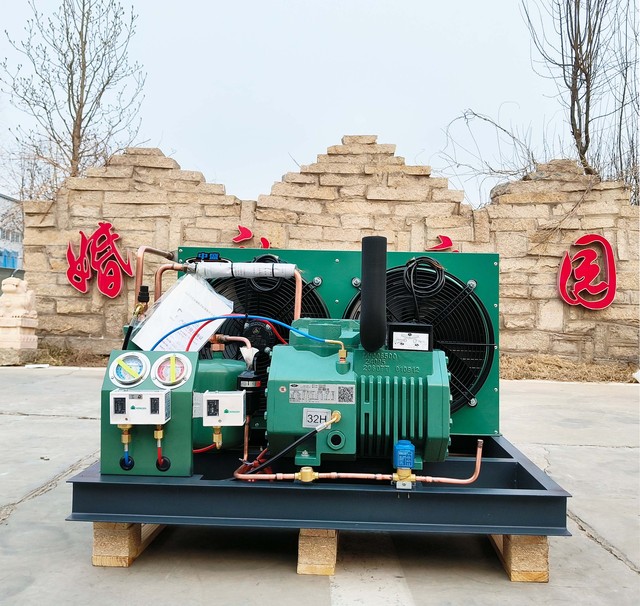 Piston Compressor Refriger Unit air Cooled Refrigeration Condensing Unit with Remote Control