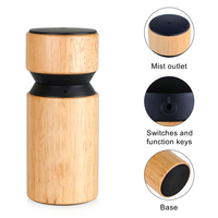 Diffuseur d'arômes électrique sans eau rechargeable en gros Diffuseur d'huiles essentielles pour voiture Diffuseur de parfums d'air en verre USB/batterie US Home Use