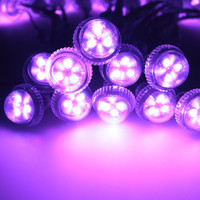 3 LED 20mm RGB 12V IP66 CRI 85 Lumière à pixels pour parc d'attractions