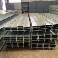 Viga de Acero Estructural Laminada en Caliente, Galvanizada por Inmersión en Caliente, Grado A36~A572 para Uso en Construcción - Mejor Precio