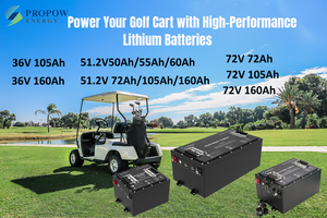 절삭 가장자리 LiFePO4 기술 유연한 치수 LiFePO4 51.2V 리튬 골프 카트 배터리 - Product Image 5