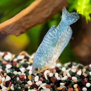 Mélange de petits galets de rivière naturels polis, pierres, gravier poli, galets pour jardin