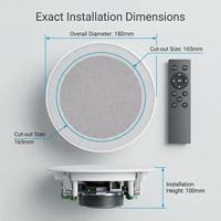 Speaker Langit-langit Nirkabel Rumah Tangga dengan Amplifier Terintegrasi, Sistem Audio DLNA, Mendukung WiFi, BT, USB, Airplay, Multi-room, dan Remote Control