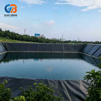 Géomembrane HDPE noire en rouleau, imperméable, à prix réduit, très demandée, pour bassins piscicoles, décharges, réservoirs, canaux, barrages, anti-infiltration