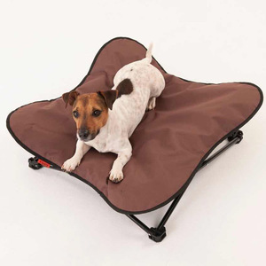 Erhöhtes Klappbares Hundebett für Innen und Außen Camping-Liege für Kleine Hunde - Product Image 6