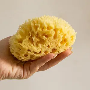 Assorted Sizes Highly Absorbent Soft And Gentle Renewable Honeycomb Natural Sea Bath Sponge For Facial Cleansing And Bathing