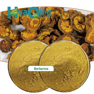 ผงเบอเบอรีนปรับแต่งแคปซูลสารสกัดจากเปลือกต้น Phellodendron 2086-83-1เบอร์เบอรีน HCl เบอรีนไฮโดรคลอไรด์ - Product Image 4