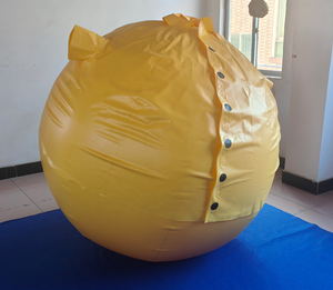 Высококачественный крутой надувной ПВХ мяч игровой костюм надувной Черничный костюм желтый бал костюм - Product Image 4