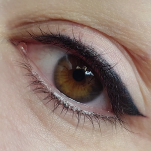 Pigmentos de mezcla <span class=keywords><strong>Perma</strong></span> semipermanente para cejas, muestra gratuita, logotipo personalizado, producto de maquillaje permanente aceptado para uso de artistas de tatuajes de cejas - Product Image 3