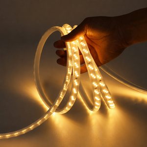 Bande LED Triple Rangée Haute Tension 220V, Étanche IP65, Sans Pilote, Ultra Lumineuse 276 LED/m pour Jardin et Bâtiment - Product Image 1