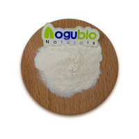 Poudre de sulfate de chondroïtine CAS 9007-28-7, matière première de qualité alimentaire pour la formulation de compléments alimentaires, poudre de sulfate de chondroïtine
