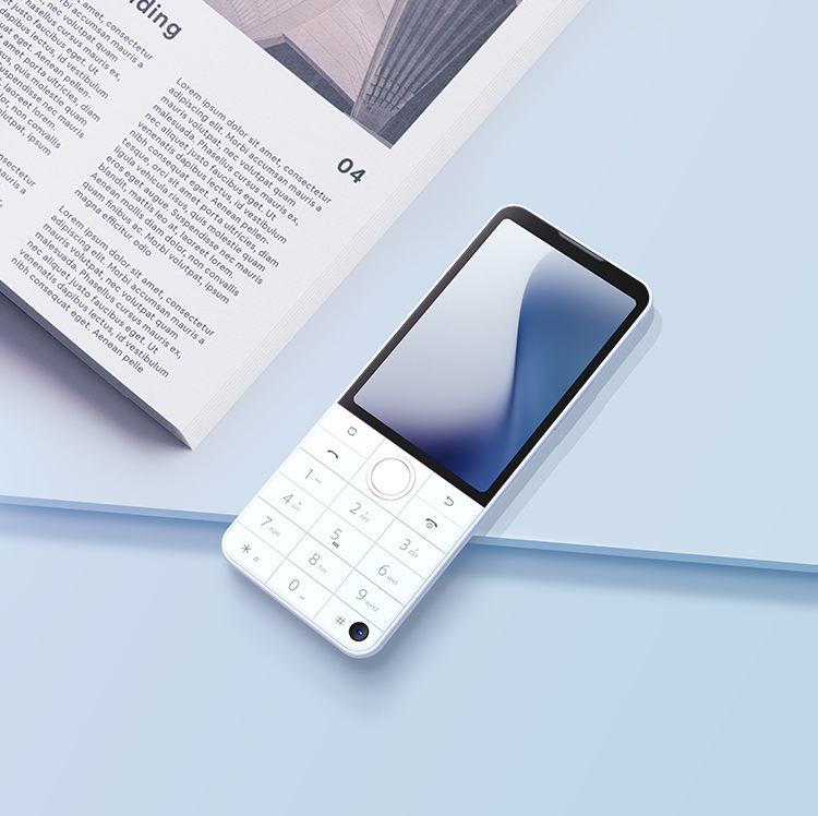 Porcelain white (4+64g) domestic version
