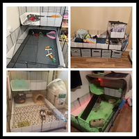 Cage de voyage portable robuste pour cochon d'inde du fabricant C & C pour animaux de compagnie