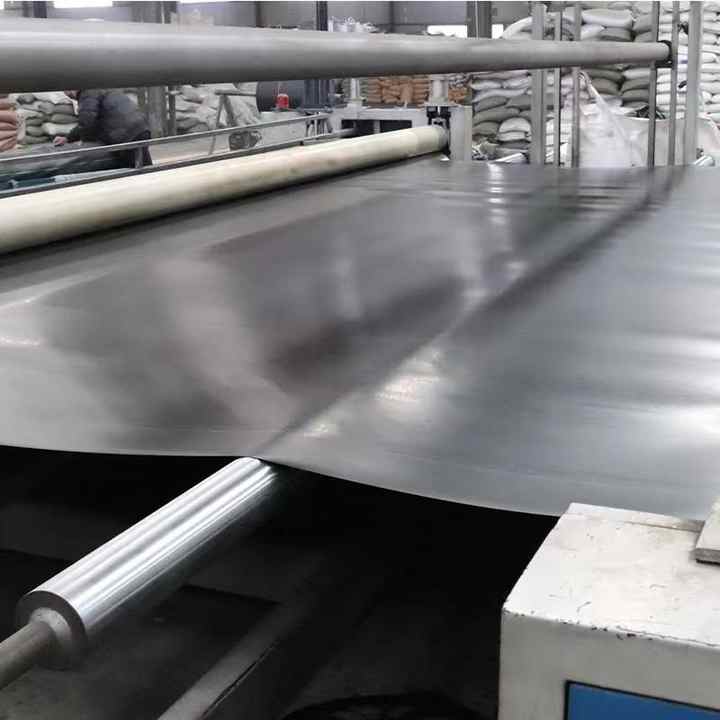 HDPE LDPE Polyethylene Sheet Waterproof Membrane Aquaculture Geomembrane 1mm 15mm 1.5mm Plastic Pond Lined Shrimp for Sale