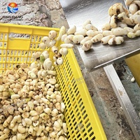Fengxiang MSTP-80 Dasheen Taro Borstel Schil- en Wasmachine voor Fruit en Groenten, Aangedreven door een Pomp Motor, 300-500kg/uur, Milieuvriendelijk