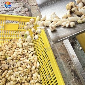 เครื่องปอกเปลือกและล้างแปรงทาโร่มันเทศ MSTP-80เครื่องปอกเผือก - Product Image 5