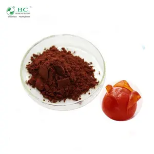CGMP ISO BRC Direct Manufacturer Tomato Extract 6% Lycopene Lycopersicon Esculentum Extract Tomato Fruit Extract