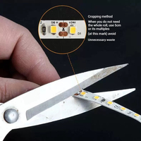 Lampu Strip LED 12V 24V Dual Row 240 LED Patch 2835 Lebar 10MM Tahan Air IP44 untuk Penggunaan Luar Ruangan dan Dalam Ruangan