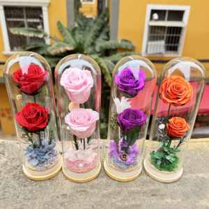 Ingrosso fiore conservato naturale immortale rosa eterna fiore conservato <span class=keywords><strong>Rose</strong></span> in vetro - Product Image 6