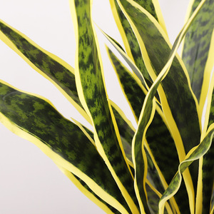 Artificial Snake Plant Leaf With Yellow <b>Edges</b> High Simulation Indoor Desktop Decoration <b>Plastic</b> Material QH-56109 - Product Image 3