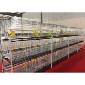 Gabbie per polli da carne a tre livelli e sei porte, resistenti e zincate, di Great Farm, progettate per contenere 54-60 polli, completamente attrezzate. - Product Image 6