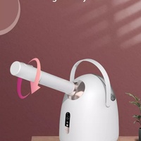 Vaporisateur facial ionique nano portable, brume chaude et froide 2 en 1, appareil humidificateur pour le visage