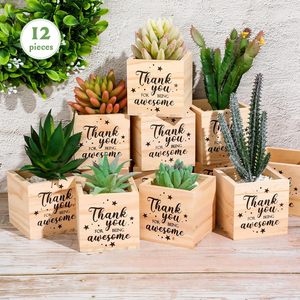 12 macetas cuadradas de <span class=keywords><strong>madera</strong></span>. Adecuado para pequeñas plantas suculentas en <span class=keywords><strong>madera</strong></span>. Ideal para enfermeras, trabajadores de oficina y profesores. - Product Image 4
