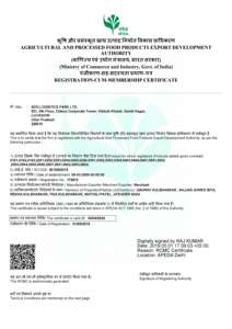 Produit agricole de sésame blanc pur 100% - Product Image 2