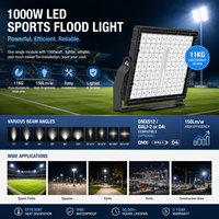 Lumières LED en aluminium étanches d'origine 1000W IP65 pour stades de sport Garantie de 5 ans 3000K-6000K Color Temp CRI>70