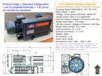 DLT V0040A Drehschieber-Vakuumpumpe 40m³/h 2PS Eisen Niederdruckbearbeitung OEM Kundenspezifische Spannung 380V 3-Phasen 1 Jahr Garantie