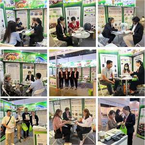 체중 감소 <span class=keywords><strong>50</strong></span>% chlorogenic 산 천연 10:1 20:1 녹색 커피 콩 추출물 분말 - Product Image 4