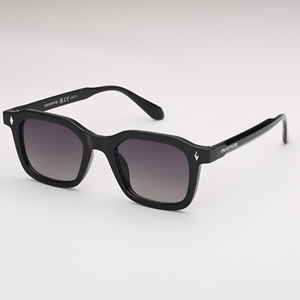 Lunettes de soleil carrées pour femmes OEM avec protection UV400 Options de couleur Pantone Nouvelle arrivée - Product Image 1