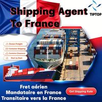 Agente de Transporte Marítimo, Francia, Ruan, Marsella, Logística Aeroportuaria de Provenza, Seguimiento de Envíos, Servicios de Envío DDP
