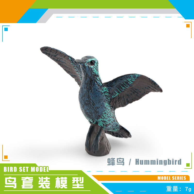 PL127-2997 colibrì 7g