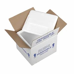 Caja con aislamiento térmico blanca personalizada, embalaje de alimentos frescos, bebidas congeladas, caja de envío aislada con enfriador de espuma