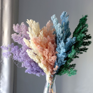 Décorations de mariage bohèmes florales, fleurs séchées blanches de gypsophile, bouquet de fleurs séchées naturelles, plantes à vendre - Product Image 2
