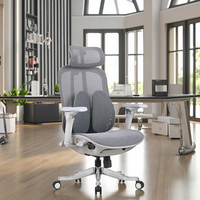 Chaise de bureau ergonomique en maille grise réglable avec support lombaire auto-ajustable, vérification de la certification de la classe 3, vérin à gaz, base en alliage d'aluminium, moderne