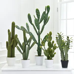 Cactus artificiale delle piante succulente artificiali all'ingrosso del cactus