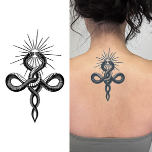 Due <span class=keywords><strong>serpenti</strong></span> intrecciati tatuaggio temporaneo Semi permanente tatuaggio impermeabile per 2 settimane realistico tatuaggio a base di erbe per il corpo del braccio - Product Image 1