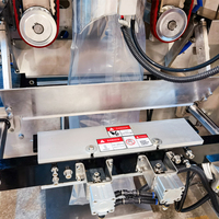 Meilleure vente Machine de remplissage et de scellage de glaçons pour sachets Machine d'emballage d'aliments surgelés 1kg