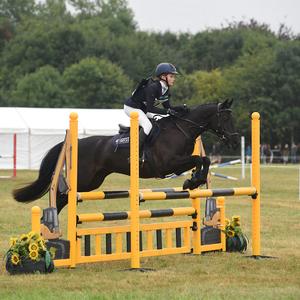 Ostacolo da <span class=keywords><strong>Salto</strong></span> per Allenamento di Equitazione Outdoor <span class=keywords><strong>con</strong></span> Logo Personalizzato in PVC e Alluminio, Attrezzatura per <span class=keywords><strong>Salto</strong></span> a <span class=keywords><strong>Ostacoli</strong></span> - Product Image 1