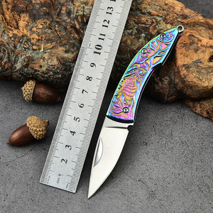 Tốt Nhất Bán Nhỏ Thép Không Gỉ Túi Chiến Thuật Dao Survival Cắm Trại Gấp Trái Cây Dao - Product Image 2