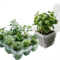 Barquettes en plastique transparentes écologiques personnalisées pour plantes, en PVC, PET, PS, pour le transport de graines, légumes et fleurs