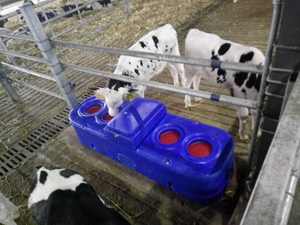 Animal LOT Bétail Eau potable automatique Nouvelle innovation <span class=keywords><strong>Plastique</strong></span> Longue durée r Abreuvoir pour eau de vache - Product Image 6